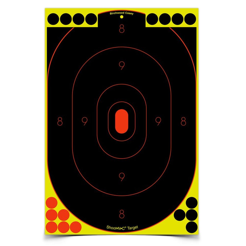 birchwood casey - Shoot-N-C - SO5 SHT-N-C 12X18IN SIL TGT 6PK for sale