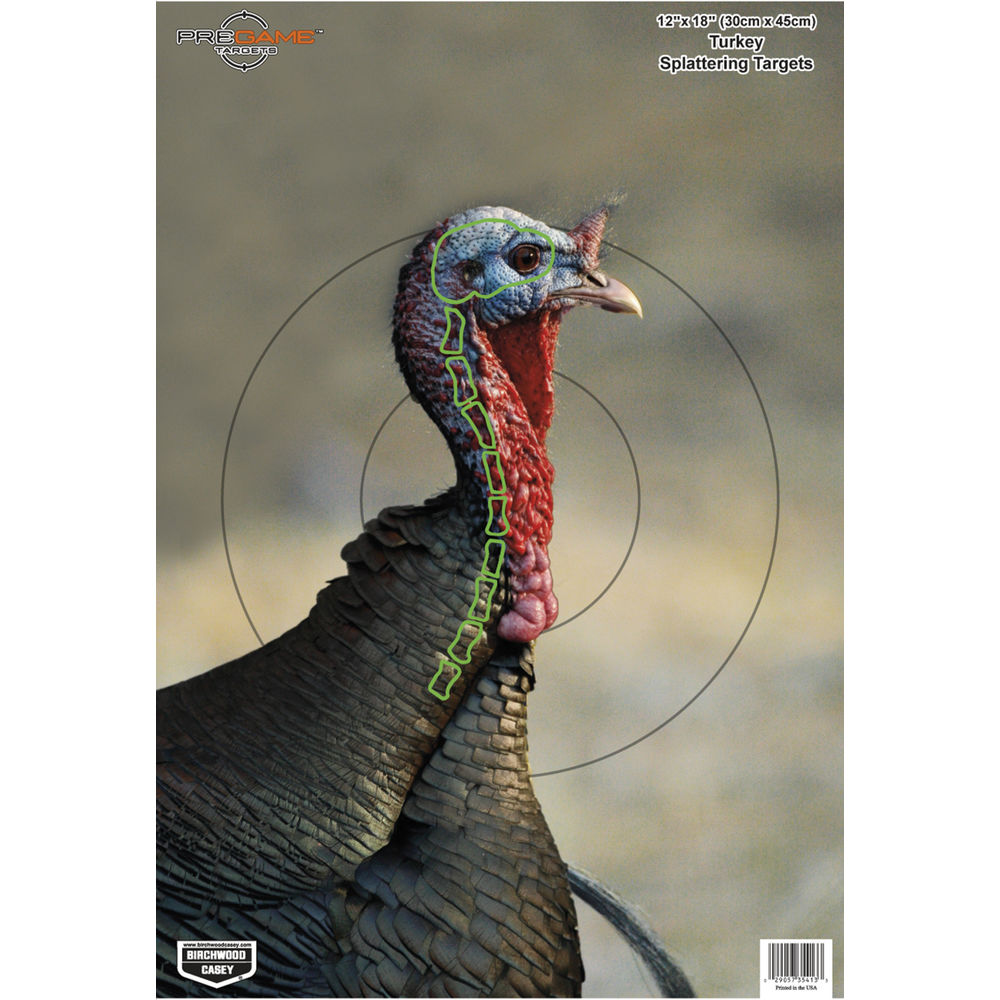 birchwood casey - Pregame - DIRTY BIRD TURKEY 12X18IN 8PK for sale